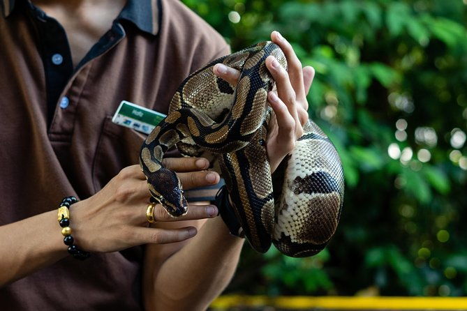 Morning at the Zoo with 1-way Transfer (Free & Easy) - Who Would Enjoy This Tour?