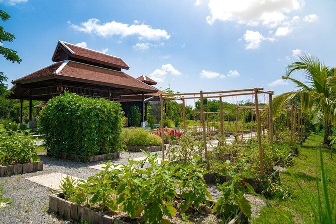Morning Session - Thai Cooking Class in Traditional Pavilion with Beautiful Farm - Practical Considerations