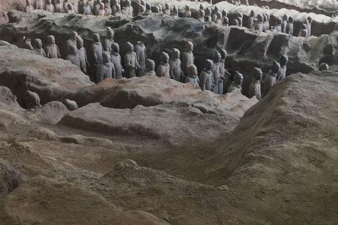 Morning Tour to Terracotta Warriors Museum with Meal - Cost and Value