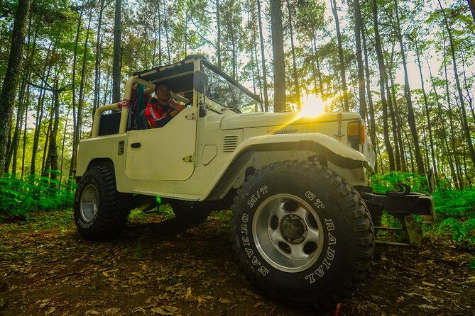 Mount Batur Trekking by 4wd Jeep - Review Highlights and Authentic Insights