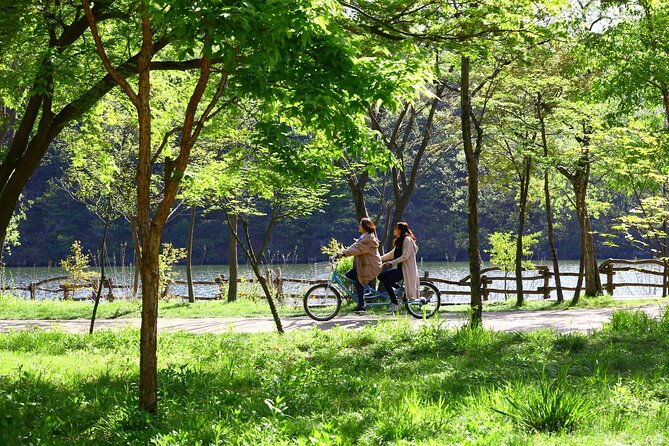 Mount Seorak and Nami Island One Day Tour from Seoul - FAQ