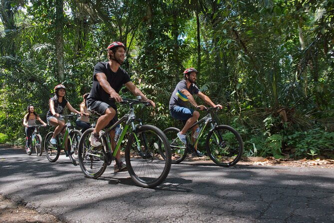 Mountain Cycling Tour - Who Would Love This Tour?