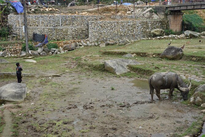 Mountain views and villages trek  1 Day - Who Should Consider This Tour?