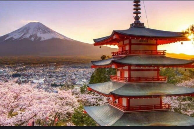 Mt Fuji & Hakone Private Tour from Tokyo & Yokohama - Who Is This Tour Best For?