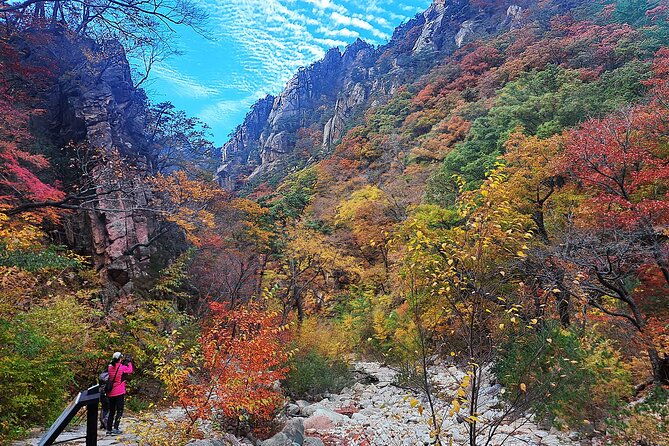 Mt. Seorak+Nami Island+Garden of Morning Calm Day Trip from Seoul - Who Will Love This Tour?