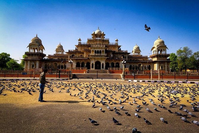 Multi-Day Incredible Golden Triangle Tour of India - Delhi Jaipur Agra - Practical Details and Tips
