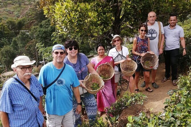 Multi Day Round Private Tour in Sri Lanka - Who Should Consider This Tour?
