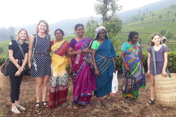 Munnar Tea Trail Tour with Factory Experience ( By Munnar Info) - The Sum Up