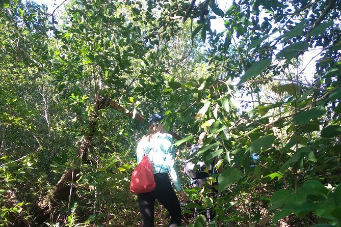 My Son sanctuary and mountain trekking - Authenticity and Value