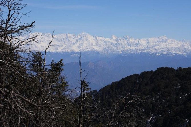 Naag Tibba Trek - Practical Details: Transportation, Duration, and Booking