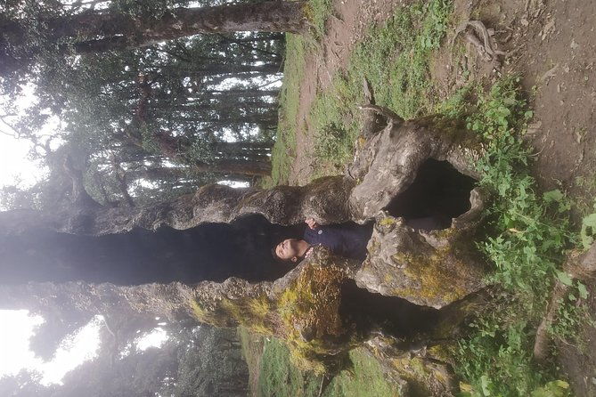 Nagtibba Trek (Pantwari to Pantwari) - FAQ about the Nagtibba Trek  