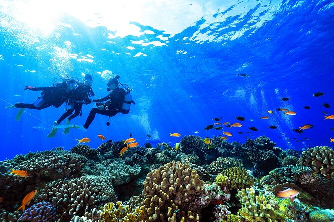 Naha: Full-Day Introductory diving & Snorkeling in the Kerama Islands, Okinawa - FAQs