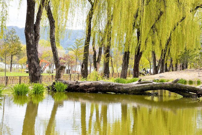 Nami Island & Petite France with Italian Village One-Day Tour - What Do the Reviews Say?