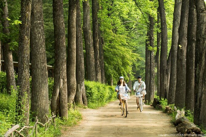 Nami Island Trip with Petite France & Italian Village and Gangchon Rail Bike - Final Thoughts: Who Will Love This Tour?