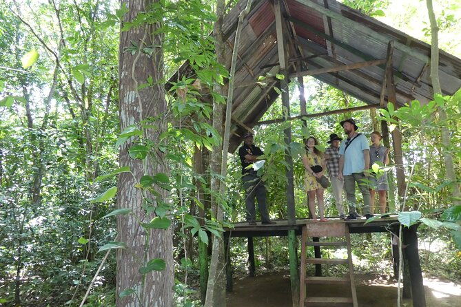 Nandana Tea Walking Tour in Sri Lanka - FAQ
