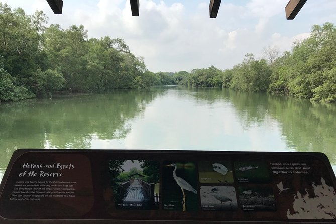 Nature Tour - Final Thoughts: Is It Worth It?