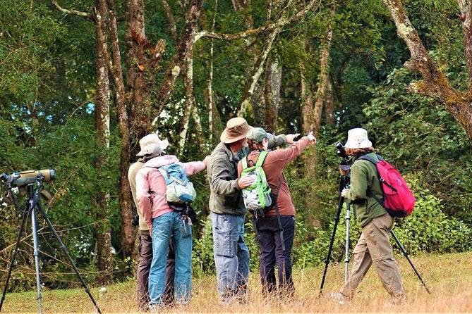 Nepal Birding - Pricing and Value Analysis