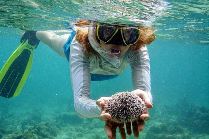 Nha Trang Bay: Explore Half-day Snorkeling at Mun Island - Who Is This Tour Best For?
