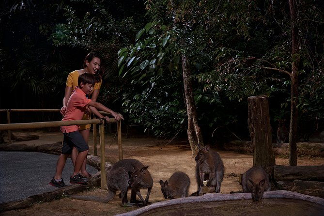 Night Safari with Buffet Dinner with hotel pick-up - Frequently Asked Questions