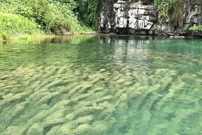 Ninh Binh Day Tour: Bai Dinh Trang An boat trip - Authentic Tips from Travelers