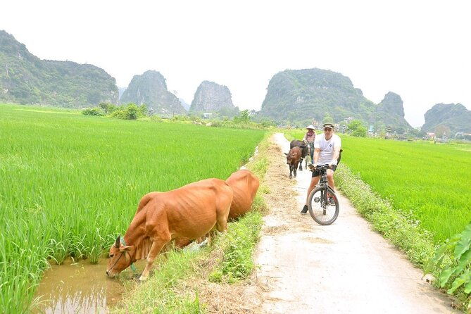Ninh Binh Full-Day Small Group of 9 Guided Tour from Hanoi - Practical Considerations