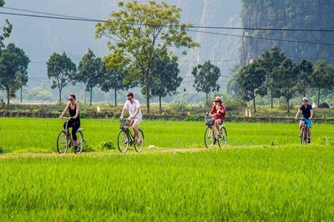 Ninh Binh Full-Day Trip to Trang An Mua Cave Hoa Lu Buffet Lunch - Final Thoughts: Is This Tour for You?