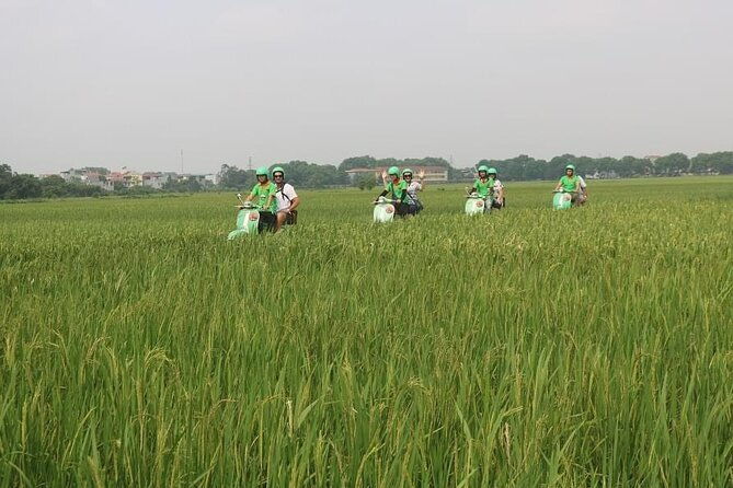 Ninh Binh Vespa Start from Hanoi + Boat + Villages +Rice Paddies - The Sum Up: Who Is This Tour Best For?
