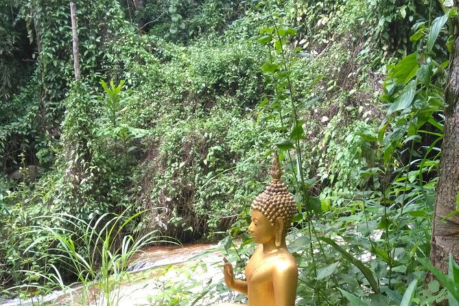 No.1 Chiang Mai: 3-Hour Monk Trail Hike to Wat Doi Suthep & Palad - Price and Value