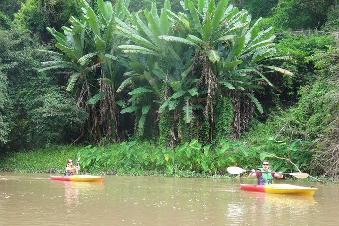 No.1 Chiang Mai: Leisure River Kayaking: Mae Taeng forest Reserve - Practical Details
