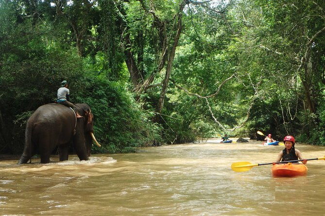 No.1 Chiang Mai : White Water Kayaking: Mae Wang Jungle River - Who Is This Tour Best For?