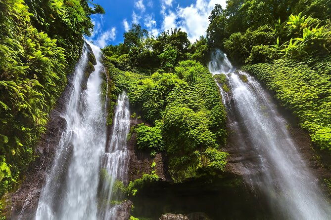 North Bali Tour: Banyumala Waterfall & Wanagiri Hidden Hills - Who is This Tour Best For?