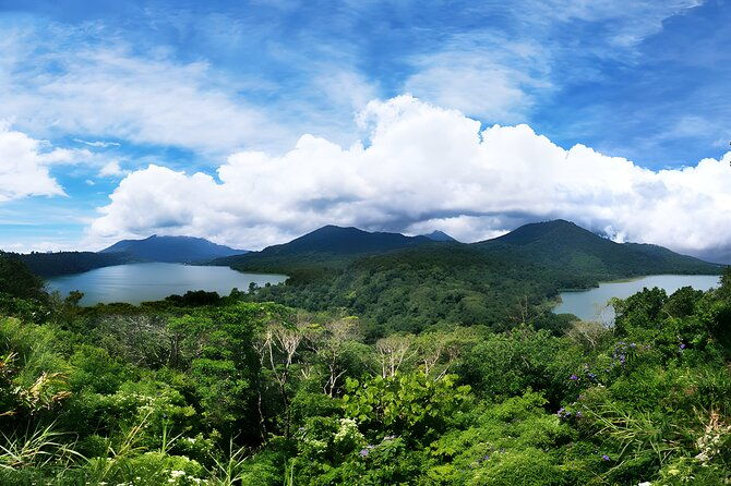 North Bali Tour - Visiting Rice Terrace, Lake, Waterfall, Temple and Hot Spring - Detailed Breakdown of the Itinerary