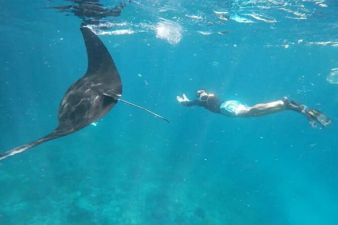 Nusa Lembongan Snorkeling with Manta Bay & Island Tour from Bali - Is It Worth the Price?