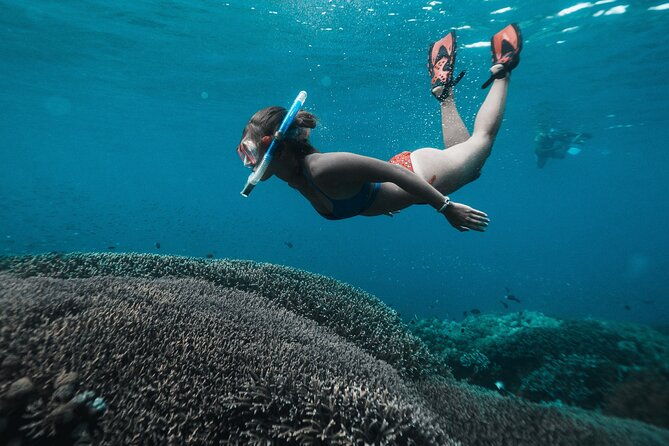 Nusa Penida day trip: boat, 4 snorkeling, Manta rays & Land tour - The Experience’s Best Aspects