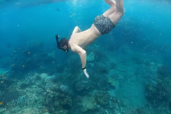 Nusa Penida Island Beach Tour With Snorkeling - Departure From Bali Island - Manta Bay: Snorkeling with Gentle Giants