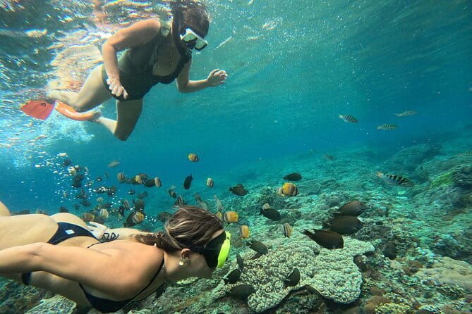 Nusa Penida Snorkeling Trip Manta Point Gamat Bay and Wall Bay - Authentic Traveler Insights