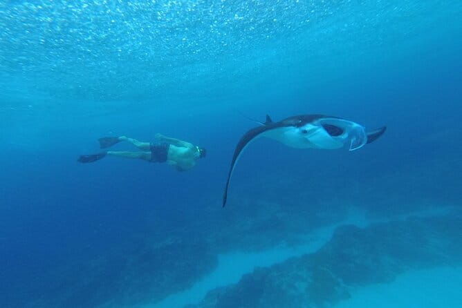 Nusa Penida Snorkling Package - Authentic Insights from Reviewers