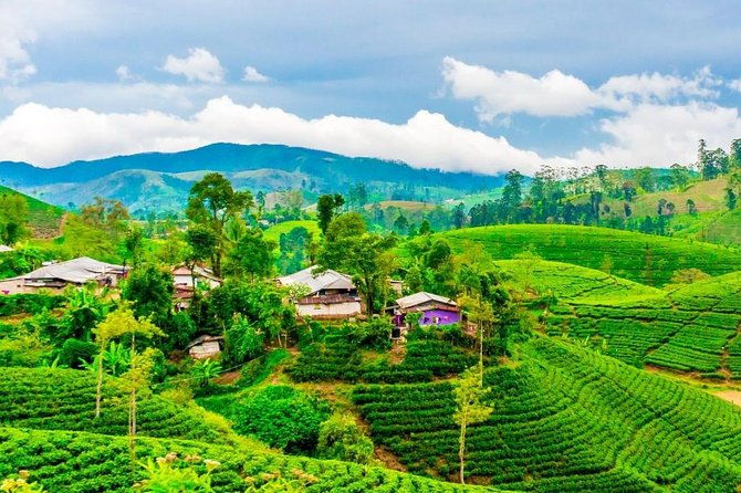Nuwara Eliya journey by Train and car (2 Days with 01 Night) - The Sum Up