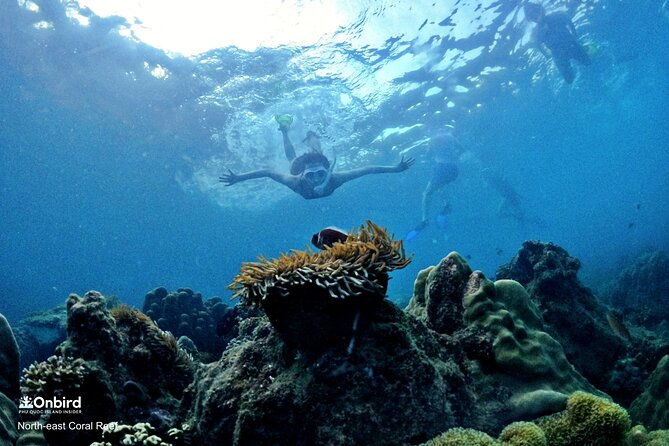 OnBird - PRIVATE ADVENTURE SNORKELING - explore Half-moon reef & Coral Mountain - What’s Included and What’s Not