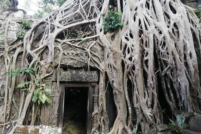 One Day Angkor World Heritage Tour - The Sum Up: Is the One Day Angkor World Heritage Tour Worth It?