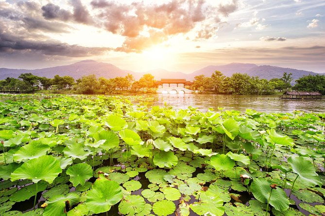 One-Day Hangzhou Dragon Well Tea Culture & West Lake Private Tour - What to Expect on Your Day