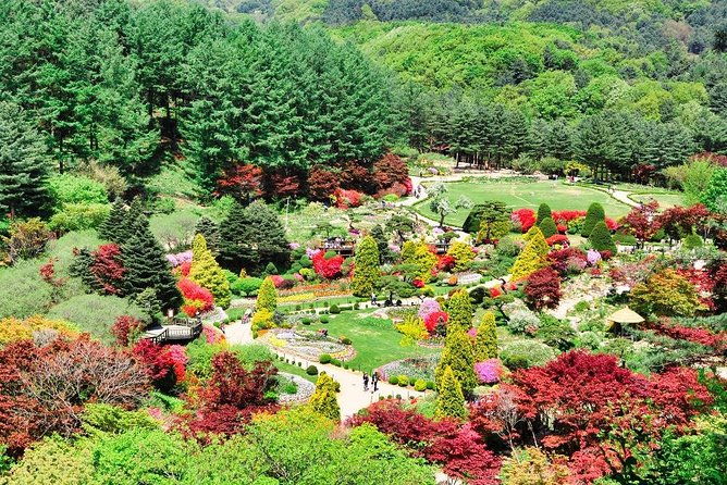 One Day Private Tour-Nami, Petite and Garden of Morning Calm - The Sum Up
