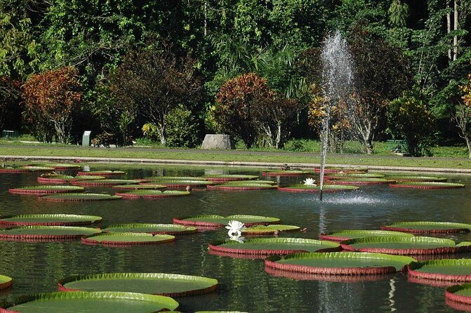 One Day Trip : Bogor Highland Waterfall Tour With Lunch - FAQs