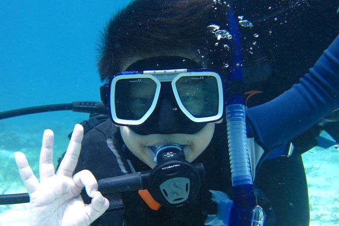 Open Water Course (PADI) - Why This Course Works for You