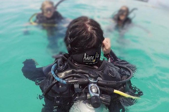 Open Water Diver Course - Authentic Insights from Past Participants