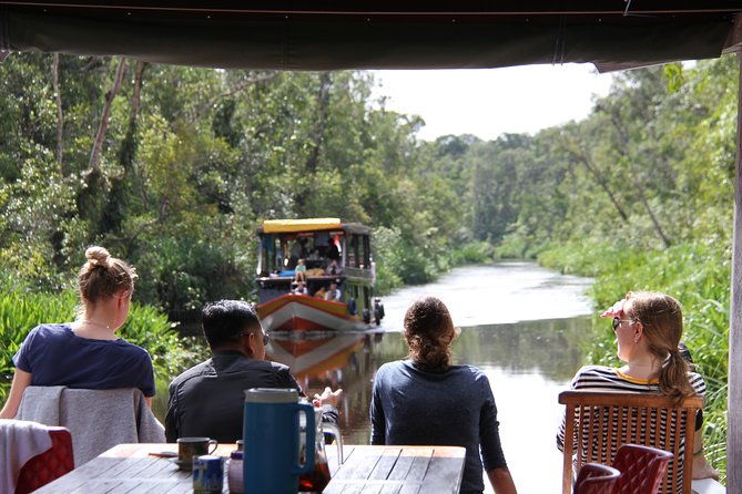 Orangutan Safari Kelotok Houseboat 3 Days 2 Nights Private - Breaking Down the Day-to-Day Itinerary