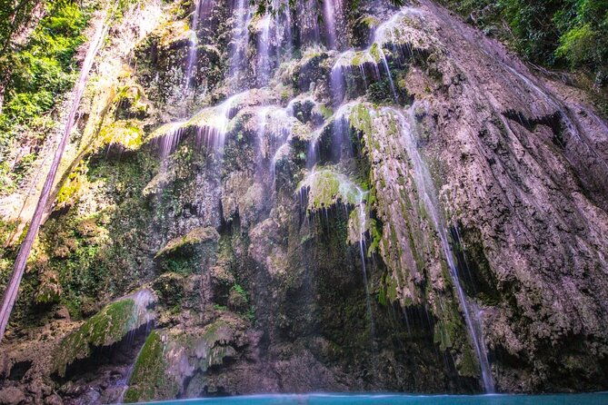 Oslob Whale Shark Group Tour with Sumilon Island & Tumalog Falls - Final Thoughts: Who Should Book This Tour?