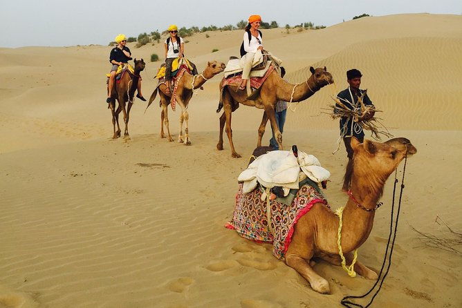 Over Night camel safari non touristic sand dune - Frequently Asked Questions (FAQs)