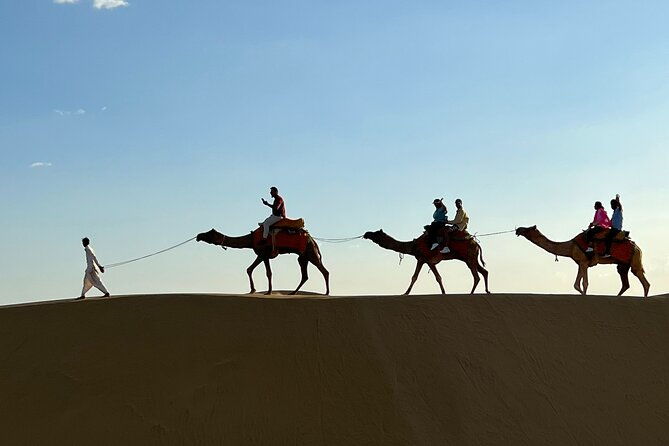 Overnight Camel Safari in Thar Desert - The Sum Up: Who Should Consider This Tour?