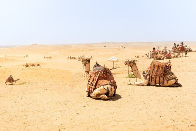Overnight Camel Safari Tour - Authentic Details from Reviewers